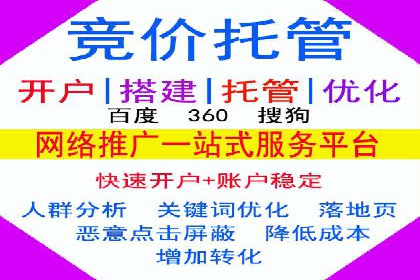 百度推广运营实战技巧：案例教学与实战